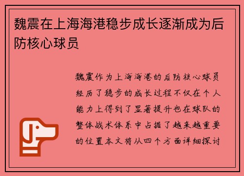 魏震在上海海港稳步成长逐渐成为后防核心球员